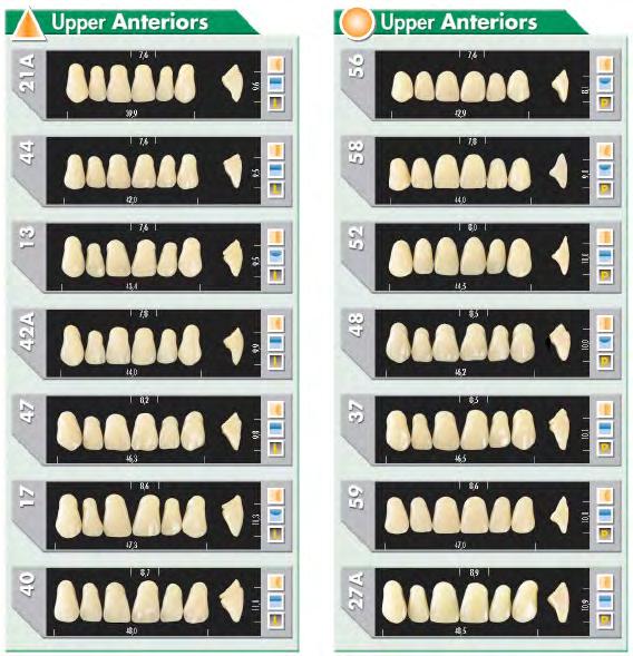 Denti Acrilici Major Plus Major Plus Major Plus è progettato per raggiungere i più elevati standard funzionali ed estetici della