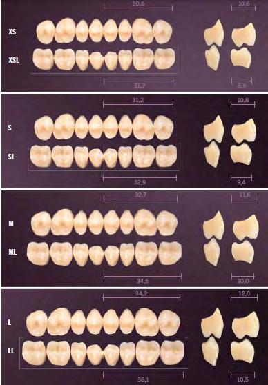 Denti Artificiali I - 25