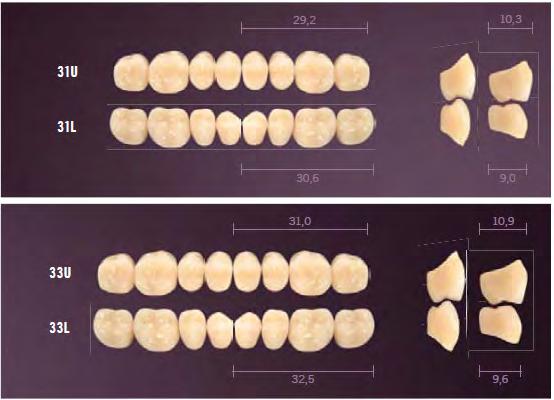 Ottima integrazione alla gamma denti e a Pala Mix & Match, grazie alle sue