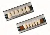 Denti Basic Kulzer Denti realizzati in PMMA