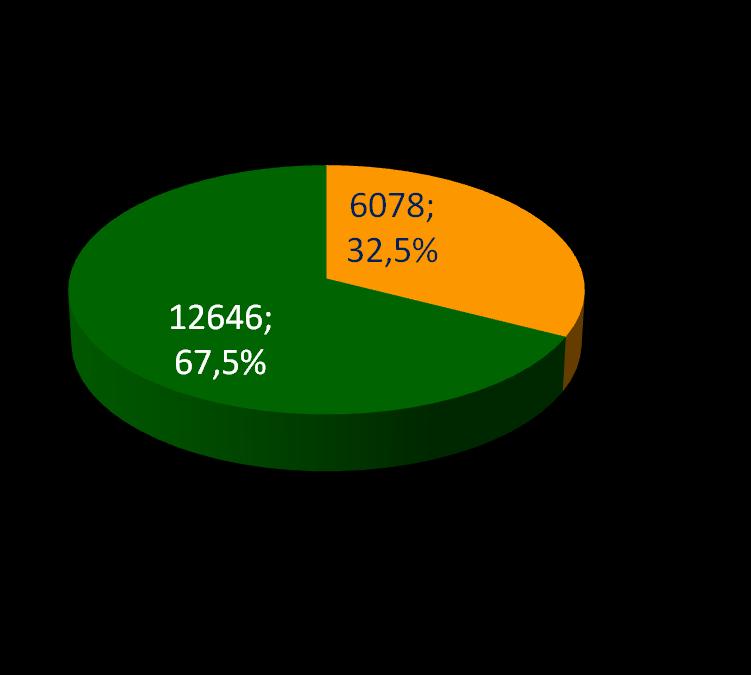UTENTI BIBLIOTECA 2012/2013 utenti residenti e non residenti Nel 2012 gli utenti che hanno richiesto almeno un prestito sono stati 18.724.