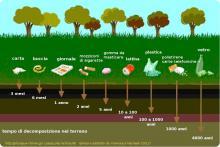 Ci sono, infine, fenomeni limitati ad aree ristrette, come quelli provocati dalle discariche, da incidenti industriali, dall'inquinamento prodotto lungo le strade o da insediamenti urbani L'EFFETTO