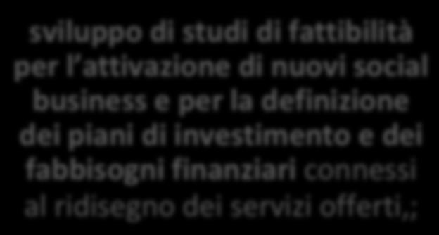 di fattibilità per l attivazione di nuovi social business e per la