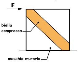 Andrea nei maschi murari o nelle fasce di