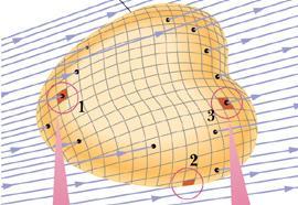 Flusso del campo elettico Il flusso totale sulla supeficie cuva si ottiene quindi sommando su tutti i quadatini infinitesimali, facendo tendee a zeo l aea del singolo quadatino.