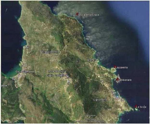 Monitoraggio qualità ambientale Incidente M/n Costa Concordia Figura 2.