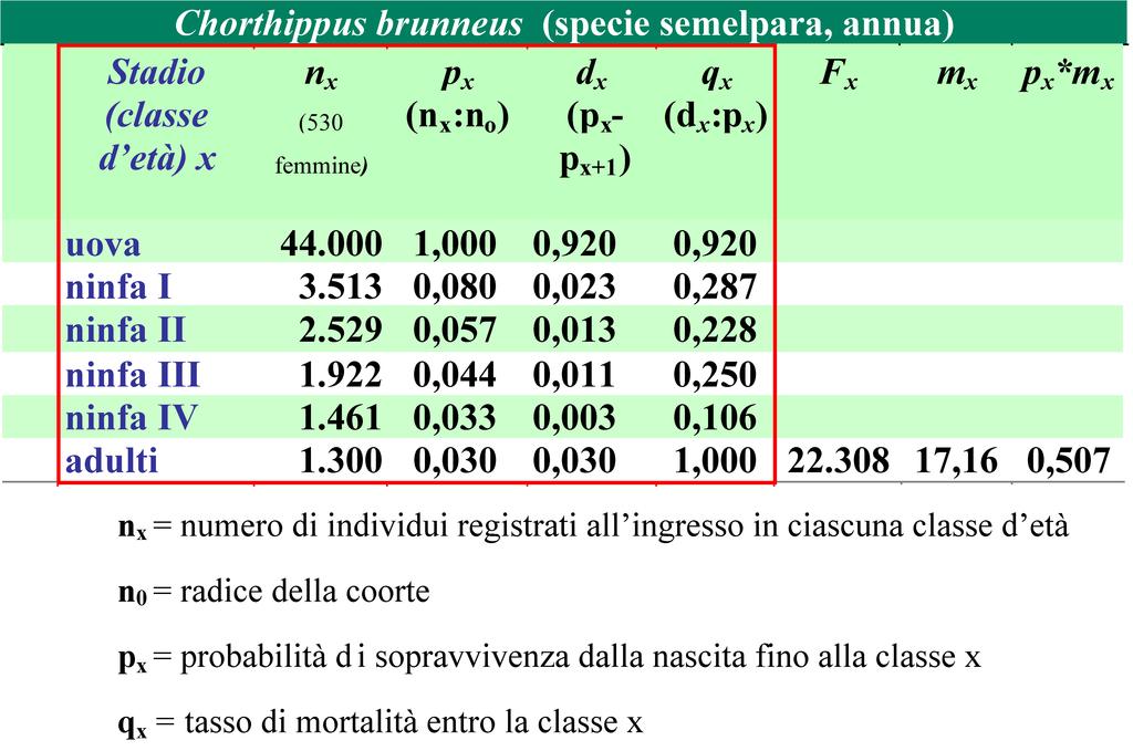 Il ciclo di vita di una popolazione divisa in classi di età è schematizzato dal cosiddetto grafo di vita Il grafo è composto da nodi e archi: Il nodo