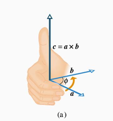 Propretà del prodotto ettorle Il modulo del prodotto