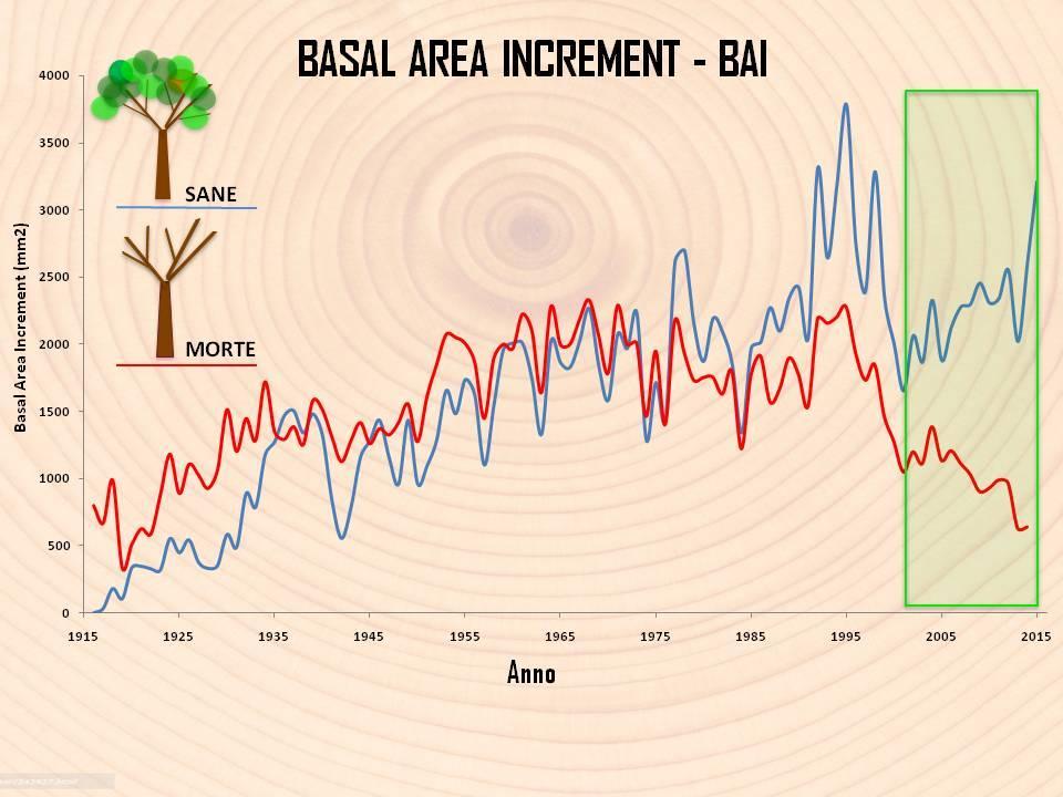 Dalle serie incrementali, inoltre, è stato calcolato il Basal Area Increment (BAI).