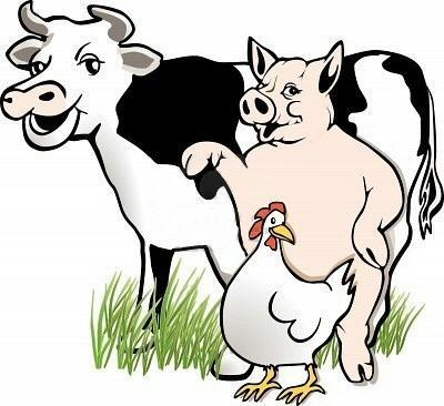totale comunicazione con bovini BOVINI: 1925 Comunicazioni PD 18% con allevamento VR esclusivo di 29% bovini da carne (529) RO vacche da latte (1241) VI vitelli carne bianca (154) VI 15% TV 26% VE