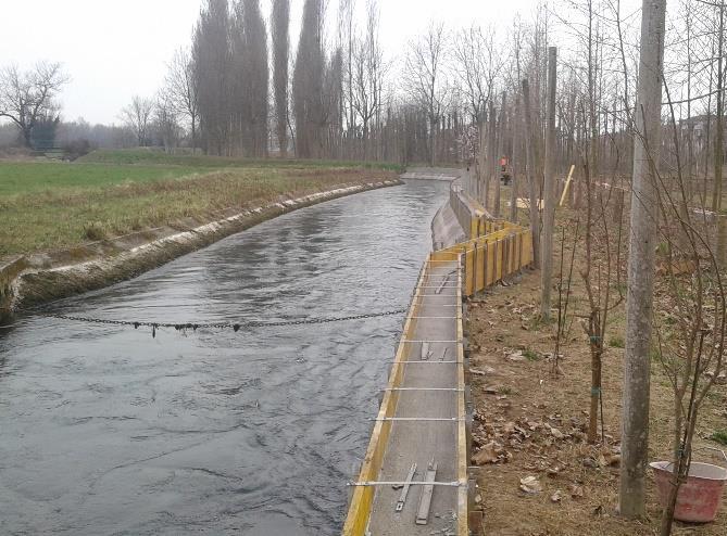 CANALE UNICO 2 rialzo muro di sponda destra per un tratto di circa 80 metri