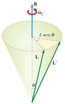 Teoia di Langevin del diamagnetismo La teoia del diamagnetismo descitta è adottata in molti testi È adottata da Pucell ma non da Mazzoldi Mazzoldi pesenta la teoia