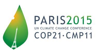 Accordi Internazionali Dichiarazione di Rio (1992) Convenzione Quadro sui Cambiamenti Climatici COP (Conferneza delle Parti) avvio Agenda 21 per affrontare i temi ambientali globali con politiche
