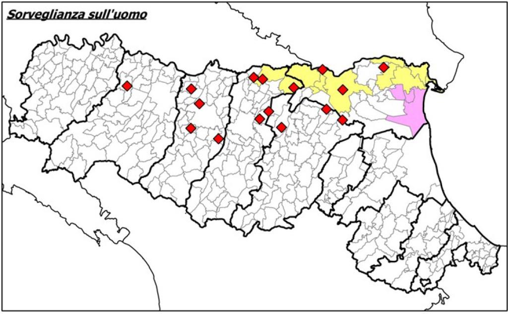 Anagrafiche NAAR (Nuova Anagrafe Assistiti Regionale) Il 95%delle segnalazioni hanno sfruttato i dati anagrafici presenti in NAAR Vantaggi: -