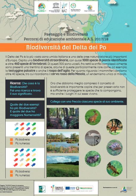 09 - Percorsi di educazione ambientale per avviare percorsi di apprendimento sul paesaggio e biodiversità (Progetto a Convenzione con l Ente di Gestione per i Parchi e la Biodiversità Delta del Po)