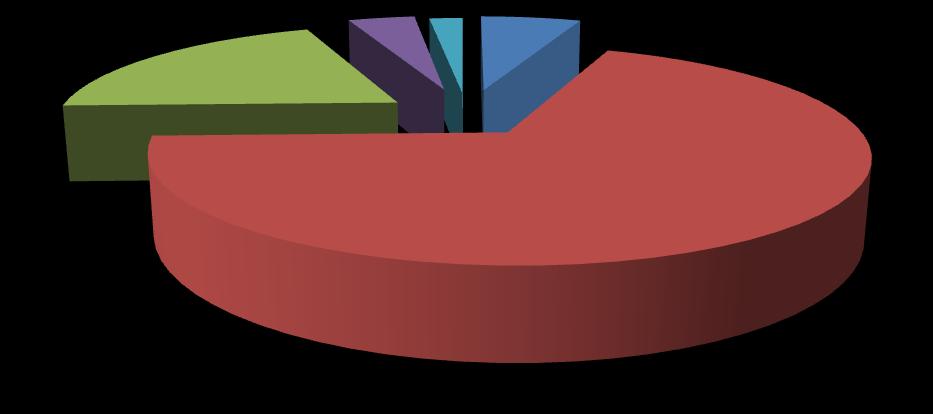 Settore agricoltura 1,96% Artigianato 25,49% 13,73% 11,76% Industria Costruzioni 27,45% 19,61% Commercio, turismo, ristorazione Altro settore Una larga