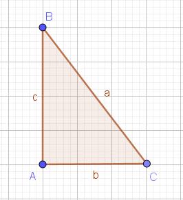 1 In un triangolo rettangolo l'ipotenusa è congruente a 5 commensurabile anche all'altro cateto. del cateto.