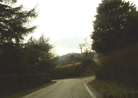 È prevalentemente coperta da boschi nella parte più elevata, mentre nella parte più bassa è percorsa dal fiume Idice, al quale corre parallelamente una bella strada ghiaiata, circondata da