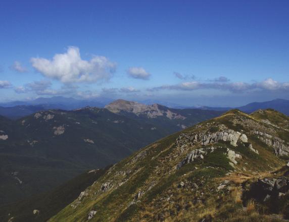 insediativo diffuso e/o sparso DESCRIZIONE Il crinale che determina il confine tra EmiliaRomagna e Toscana, è indubbiamente uno dei