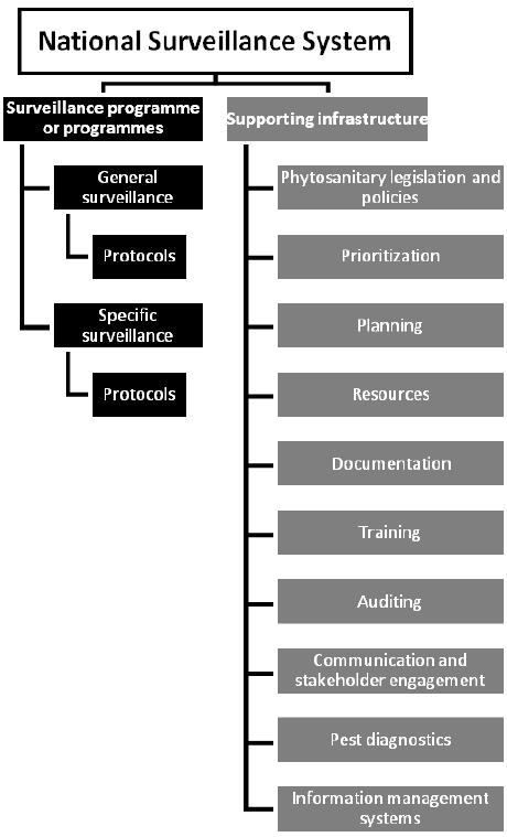 Surveillance (ISPM 6/2018) La sorveglianza è alla base di diverse attività, tra cui: - la precoce individuazione di parassiti nuovi in un'area - la compilazione di elenchi di organismi