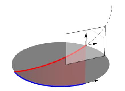 Lifting dei bordi Ogni level line è liftata ad una curva integrale dei due campi