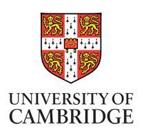 accreditato dalla Cambridge University CLIL: consiste nel trattare