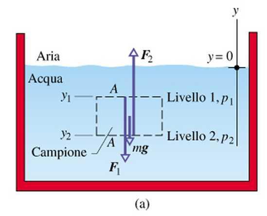 egge di Steino fluido in equilibrio forze di suerficie (, ) forze di olue (P = g) g 0 g V g g g gh [gh] = [M -3 T - ] = [M - T - ] ressione idrostatica se = 0 = 0