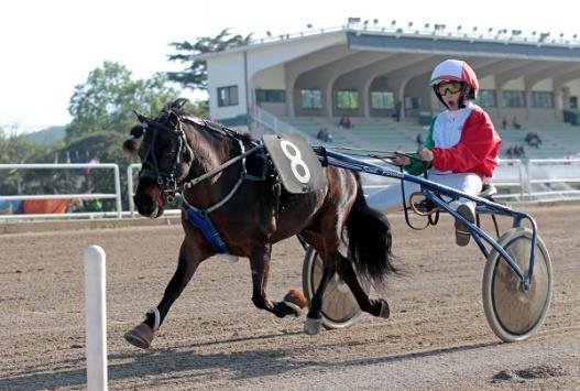 "Un Cavallo per Amico",centro ippico affiliato ASI, scuola di trotto per allievifuturi driver di Succivo ( Caserta ) ha vinto il Mondiale grazie a Francesco Compagnone ( con