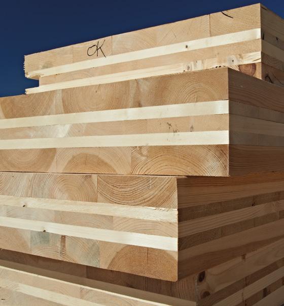 legno e possono essere utilizzati per la realizzazione di pareti,
