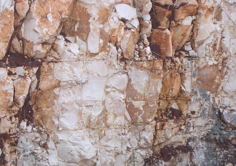 Foto 1: fronte di scavo alto circa 3 m; evidente come i livelli più superficiali, dello spessore di circa 1,5 m, si presentano fratturati con locali infiltrazioni di