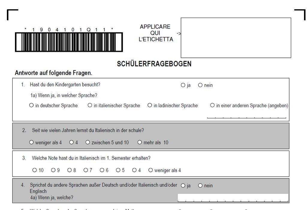 INDICAZIONI PER LA SOMMINISTRAZIONE Questionario informativo: la compilazione sarà a cura degli studenti, sia per le classi IV che per le classi II le modalità di compilazione sono uguali al