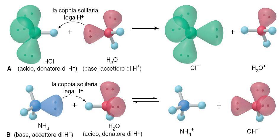 Trasferimento protonico in una