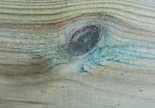 FUORIUSCITE DI SALE Le fuoriuscite di sale si verificano nel legno impregnato in vicinanza di nodi e fuoriuscite di