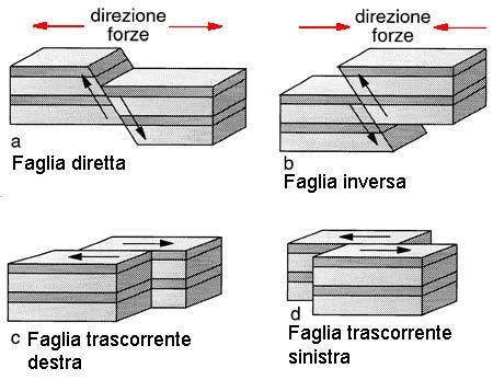 La pericolosità sismica in Italia di Giovanni Maria Di Buduo* IL TERREMOTO Un terremoto è una perturbazione che si propaga nel sottosuolo con onde di diverse caratteristiche; la perturbazione è