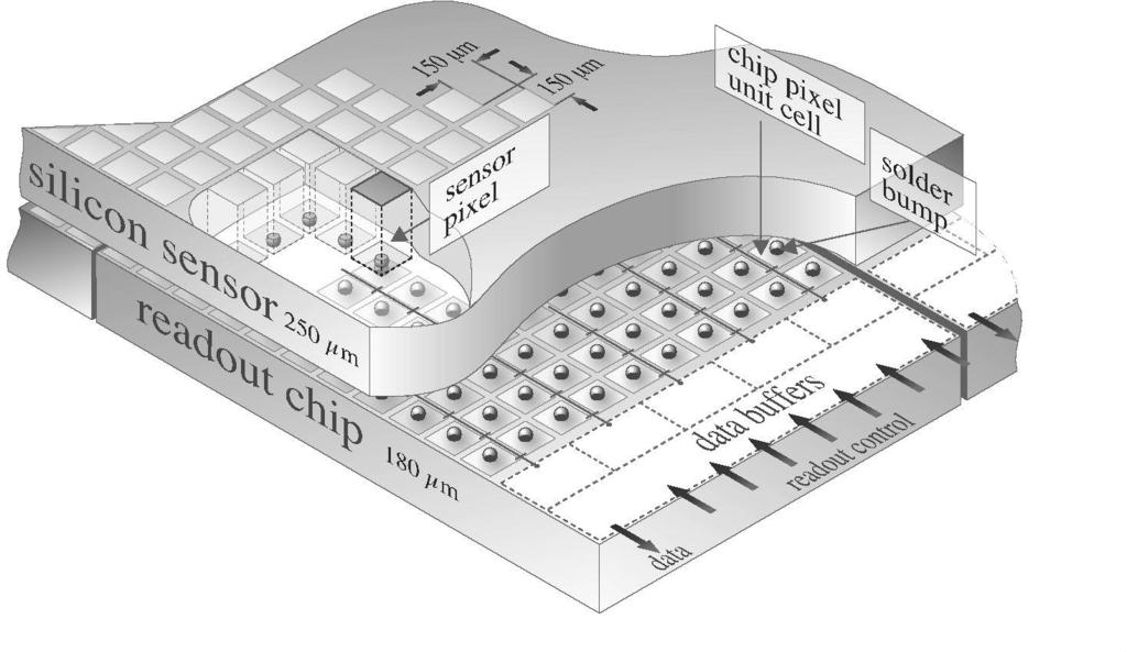 56 Il sistema di tracciamento di CMS Figura 3.3: Schema di un elemento del rivelatore a pixel. 52 colonne per 8 righe.