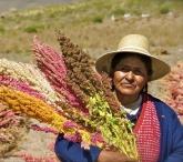 cambio climatico; Bisogna quindi produrre di più con meno; L innovazione in