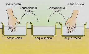 Si preparano tre recipienti contenenti uguali masse d'acqua calda, fredda e tiepida.