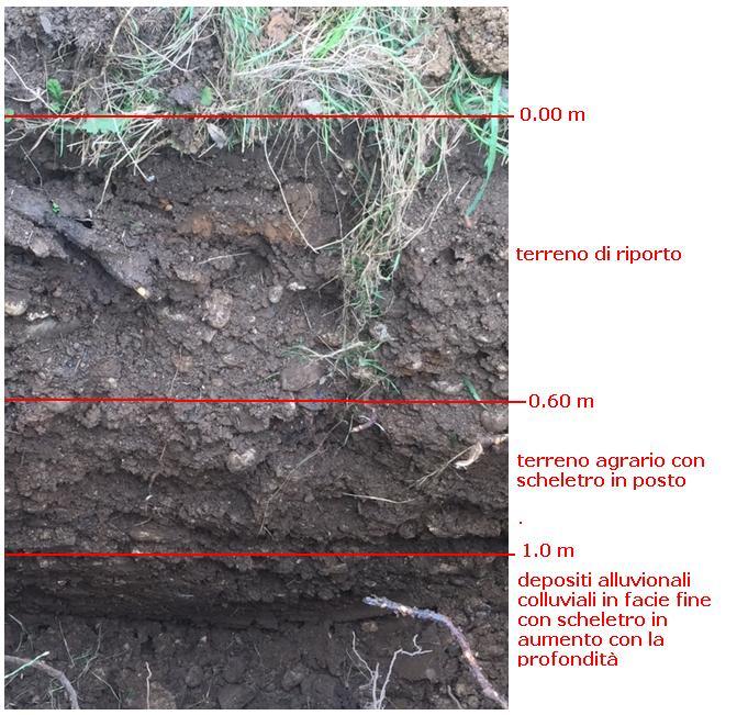 In sintesi la stratigrafia del