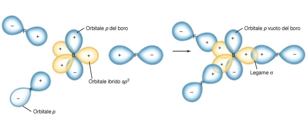 Es. trifluoruro di boro, BF 3 : Ciascun legame F-B di questo composto è formato in seguito alla sovrapposizione di un orbitale sp 2 del boro e un orbitale p del fluoro.