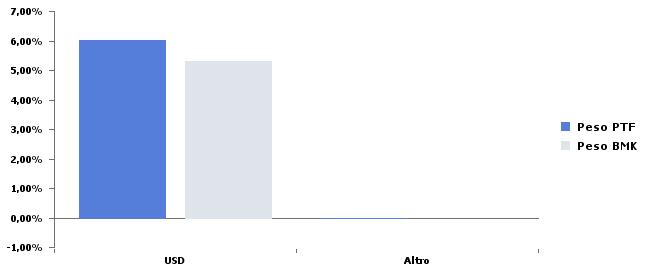 Portafoglio (2/2) Divise Peso PTF Peso BMK Delta USD