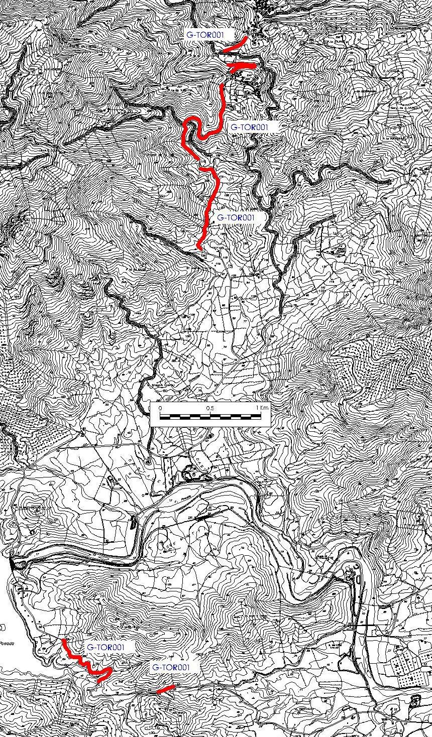 Fig. 1 Comune di Torpè Planimetria