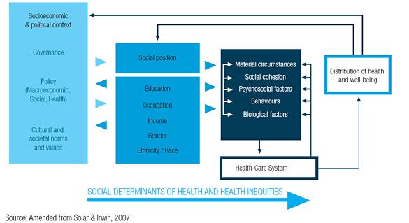1. Introduzione Determinanti sociali di salute I determinanti sociali della salute sono fattori in grado di modificare positivamente o negativamente la salute di un individuo.