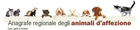 Com è strutturata attualmente l Anagrafe Regionale degli Animali d Affezione COMUNI Registrazione cani e altri animali in anagrafe Movimentazioni +300 VETERINARI ACCREDITATI