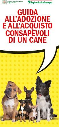 CONCLUSIONI v In Emilia-Romagna non si può più parlare di randagismo Esiste però un grave problema di arrivo di cani da Regioni del Sud Italia che