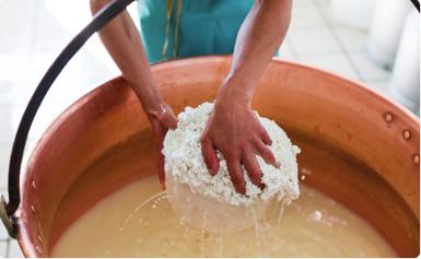 Carta del Patrimonio Alimentare Alpino PREMESSA Noi, che abbiamo a cuore il futuro delle Alpi, vogliamo contribuire a salvaguardare il Patrimonio Alimentare Alpino attraverso la sua candidatura nella