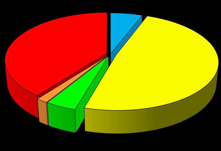 6% 49% 8% 8% 1% 4% il mio aspetto fisico il mio carattere 23% il mio