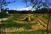 naturali del luogo con il paesaggio circostante, per buona