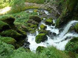 LA FALDA ACQUIFERA LE FALDE ACQUIFERE SONO RISERVE D ACQUA PRESENTI NEL SOTTOSUOLO, COSTITUITE DA ROCCE IMBEVUTE DI ACQUA DOLCE.