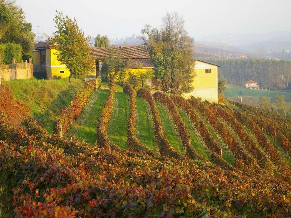 MOTIVAZIONI DEL RICONOSCIMENTO UNESCO I filari dei vitigni storicamente coltivati nel territorio, le tipologie di coltura,, il ricco sistema dei luoghi produttivi e degli insediamenti tradizionali