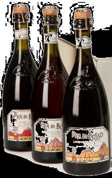 75 lt 11% vol. Lambruscone Lambrusco dell Emilia IGP 0.75 lt 11% vol. LE NOSTRE NOVITA Prata Solis Emilia IGP Lambrusco Biologico 0.